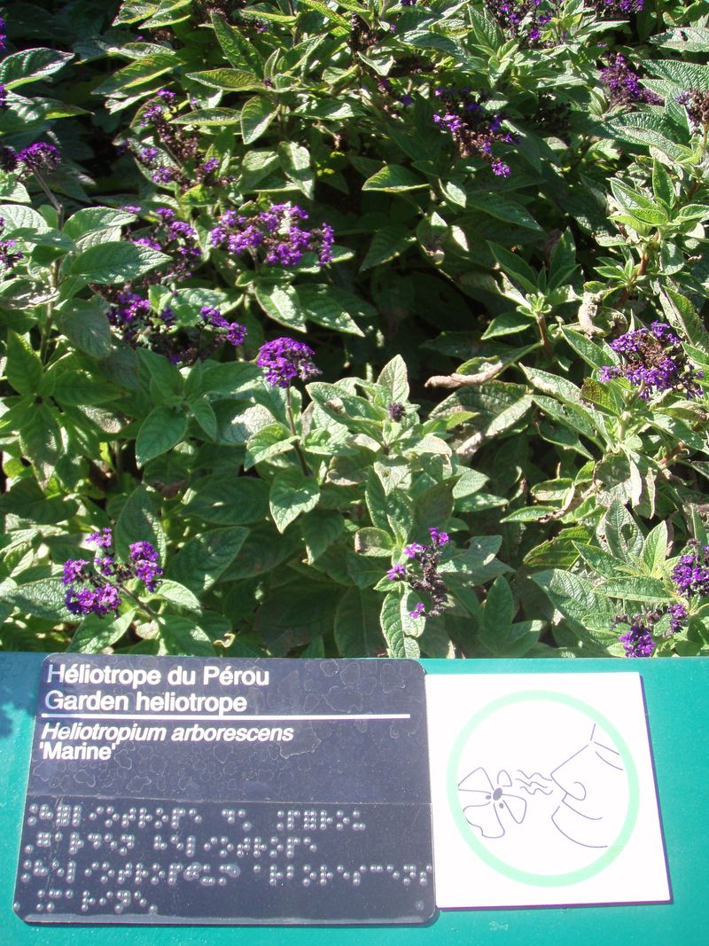 P9112899