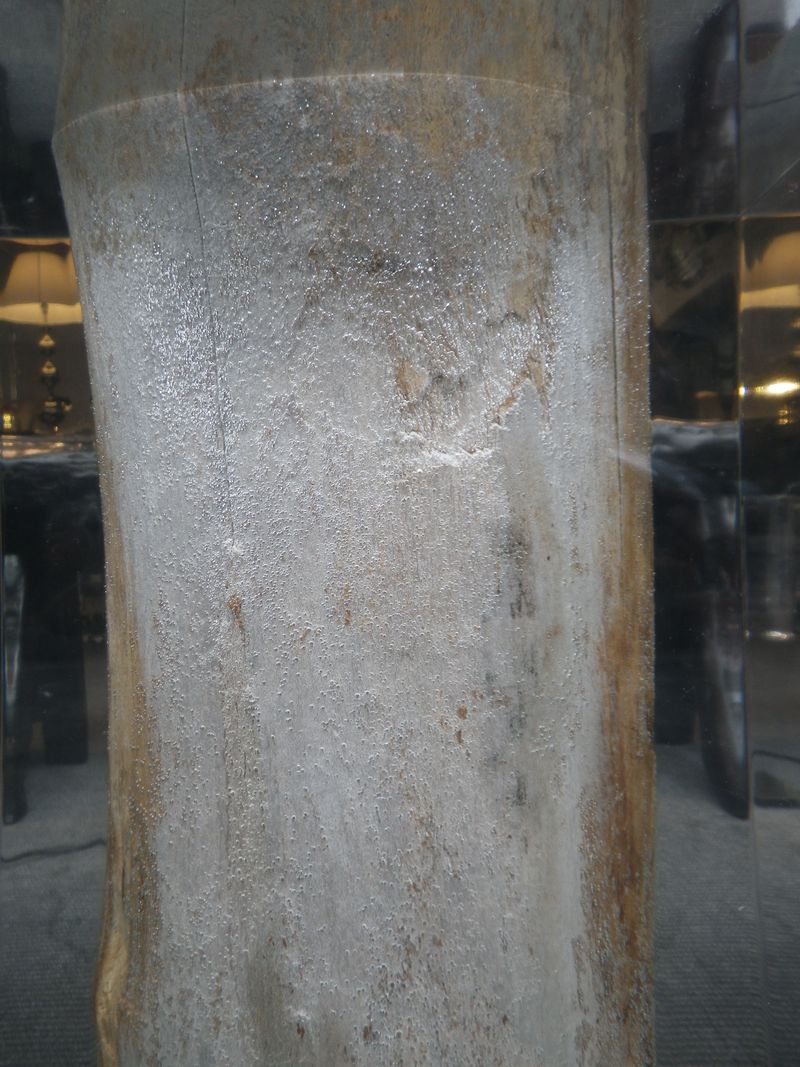 IMGP6748