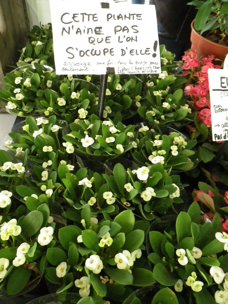 N'aime pas qu'on s'occupe