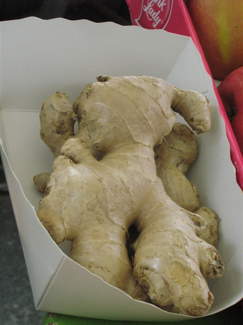 Racine gingembre 1