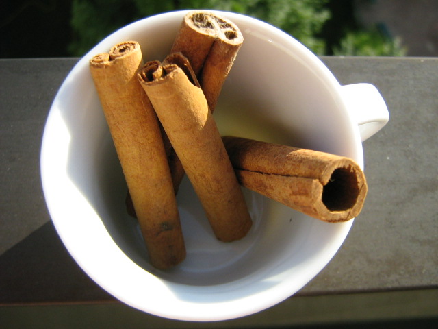 Bâtons cannelle1