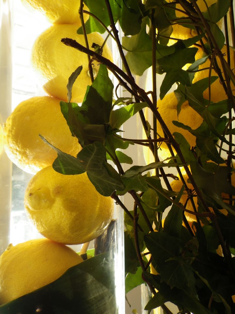 Citron eau1