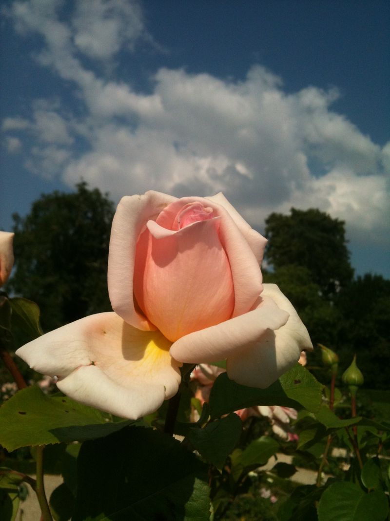 Photo 07-07-13 17 50 02