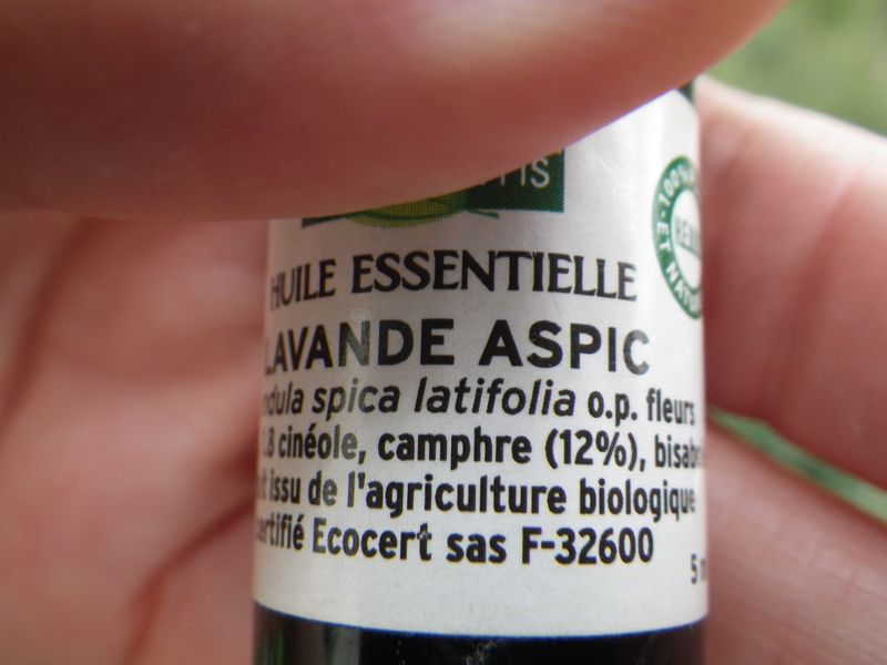 Lavande aspic