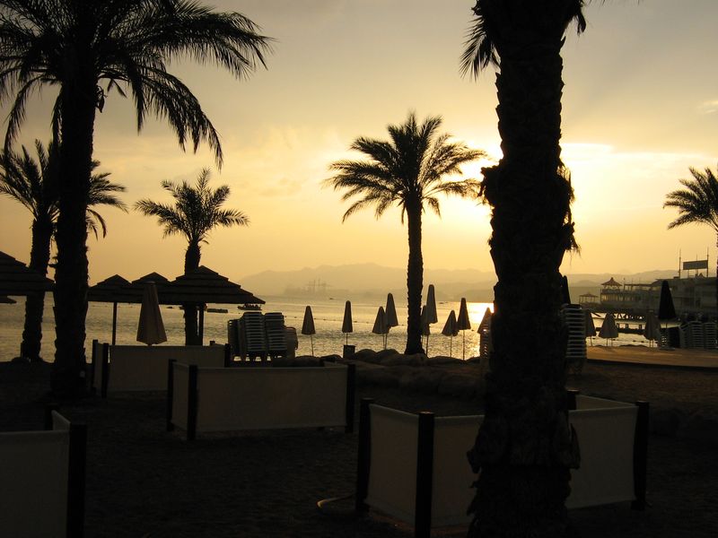 Coucher soleil plage palmiers
