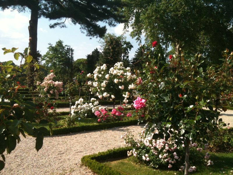 Photo 07-07-13 17 43 35