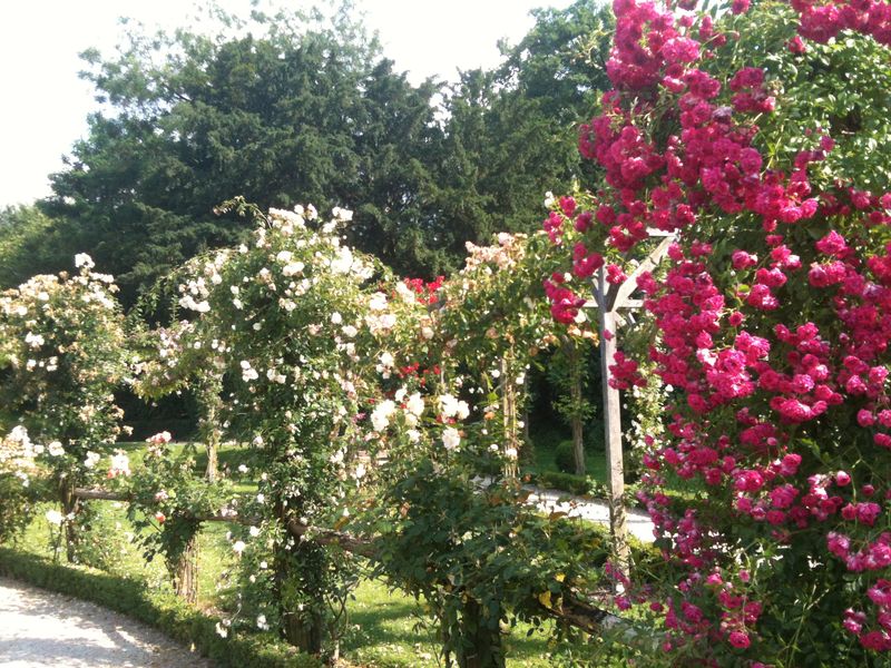 Photo 07-07-13 17 42 11