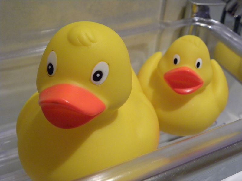 Canards bain