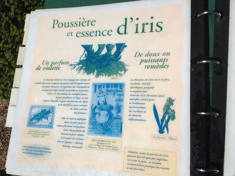 2 - Poussière et essence d'Iris
