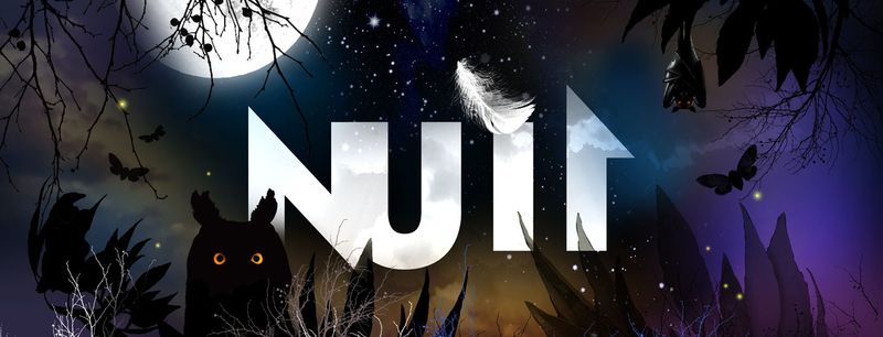 Visuel-nuit-1440x600pixel