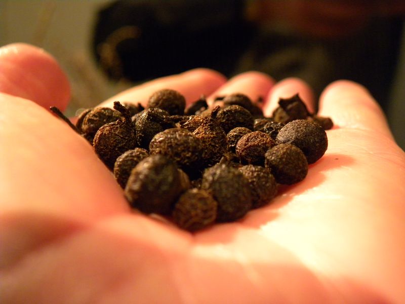 Litsée citronnée2