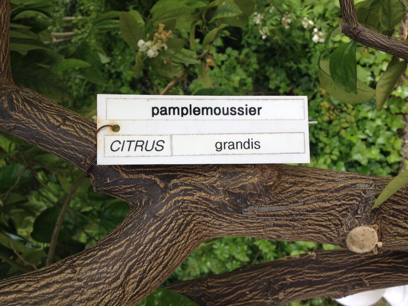 Photo 18-05-2014 15 56 13