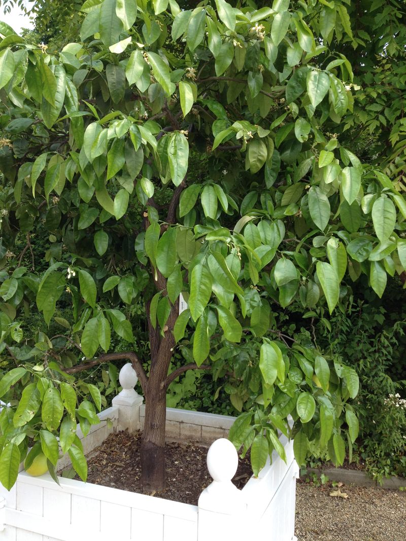 Photo 18-05-2014 15 56 38