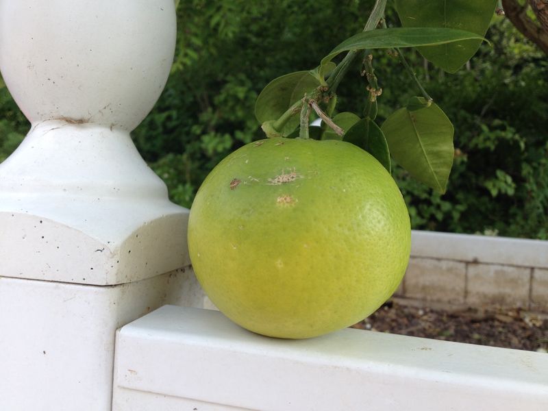 Photo 18-05-2014 15 56 30