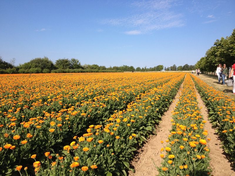 Photo 27-06-2014 08 33 52