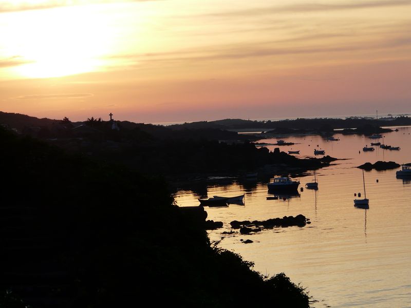 P1000703