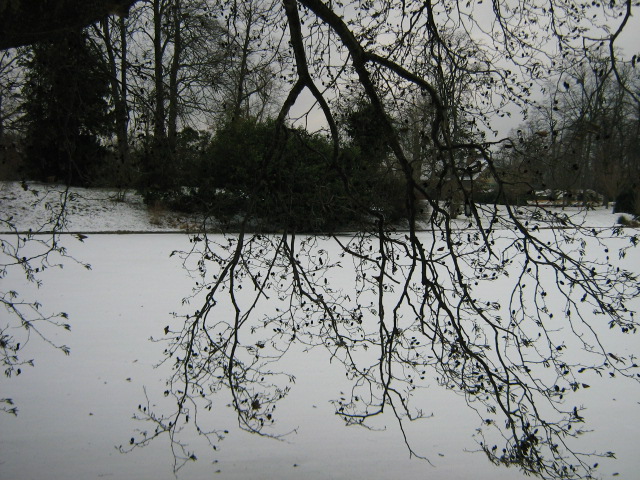 Paysage neige1
