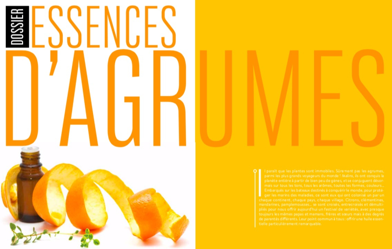 Dossier Agrumes